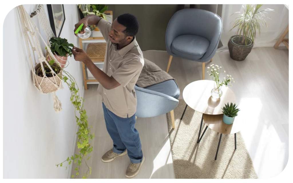 Aposte nas tendências de decoração em 2024 sem gastar muito