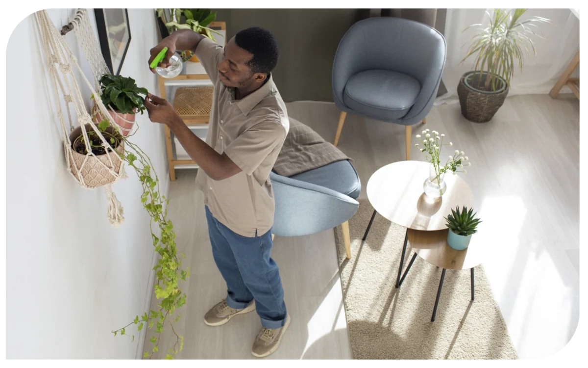 Aposte nas tendências de decoração em 2024 sem gastar muito